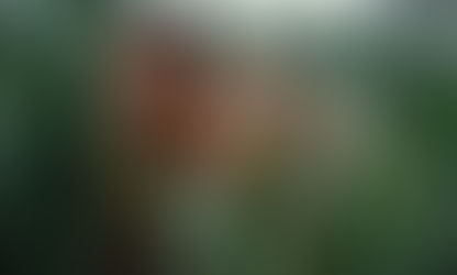 Jonathan Bailey and Scarlett Johansson hiding in tall grass.