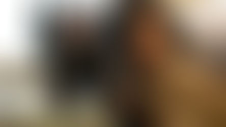 Quick Reviews: 'Sisu', 'Rebel Moon – Part One: A Child Of Fire' | Action Thriller, Zack Snyder