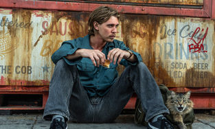 Austin Butler sitting on a sidewalk with a cat next to him.