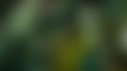 'Spaceman' review: Sci-fi drama finds Adam Sandler caught in a web of solitude