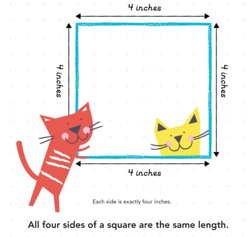 Squares, Rectangles and Other Quadrilaterals