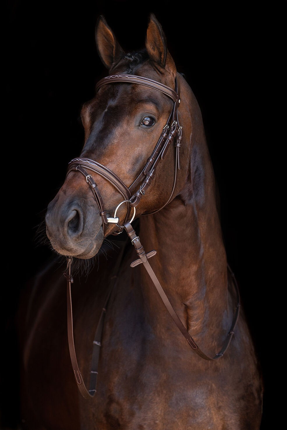HKM Jana Bridle