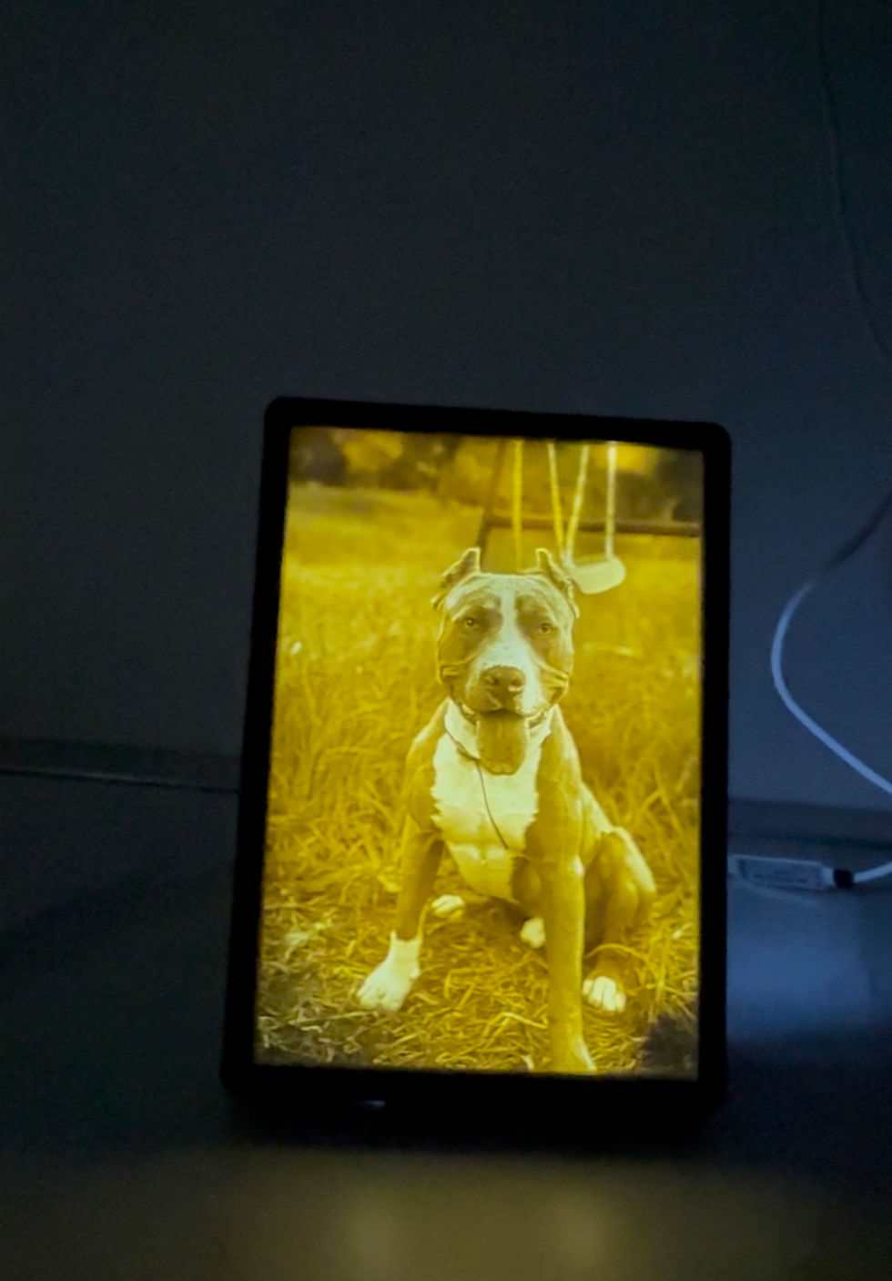 Miniatura: Litografia con cornice e led