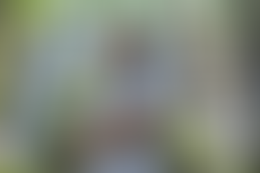 Commercial challenges in transition to net zero