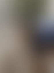 Top 6 skills to help you succeed at work