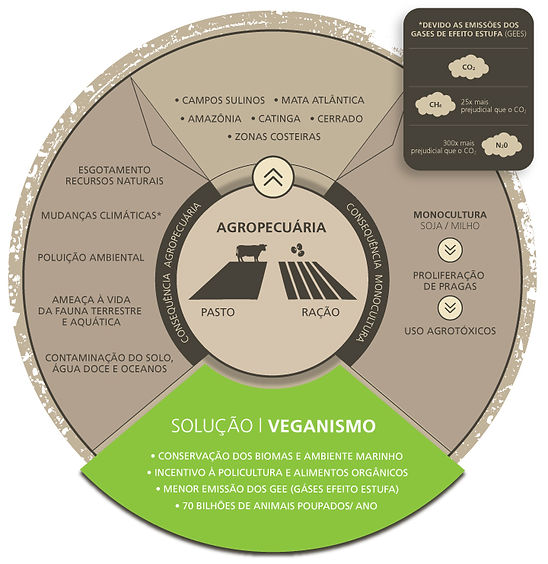 consequencias_agropecuaria.jpg