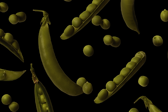 pattern-neutro.png