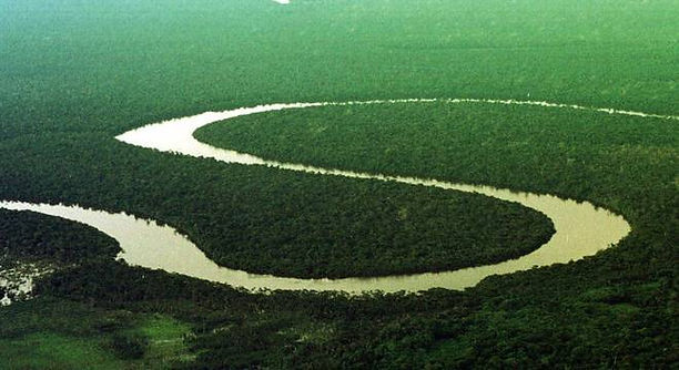 amazonas-agencia-estadojpg-03092019190957363.jpeg