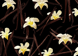 pattern-vanilla.png