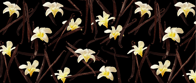 pattern-vanilla.png