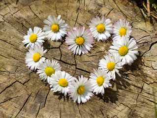 Elements of Self-Care and Resiliency