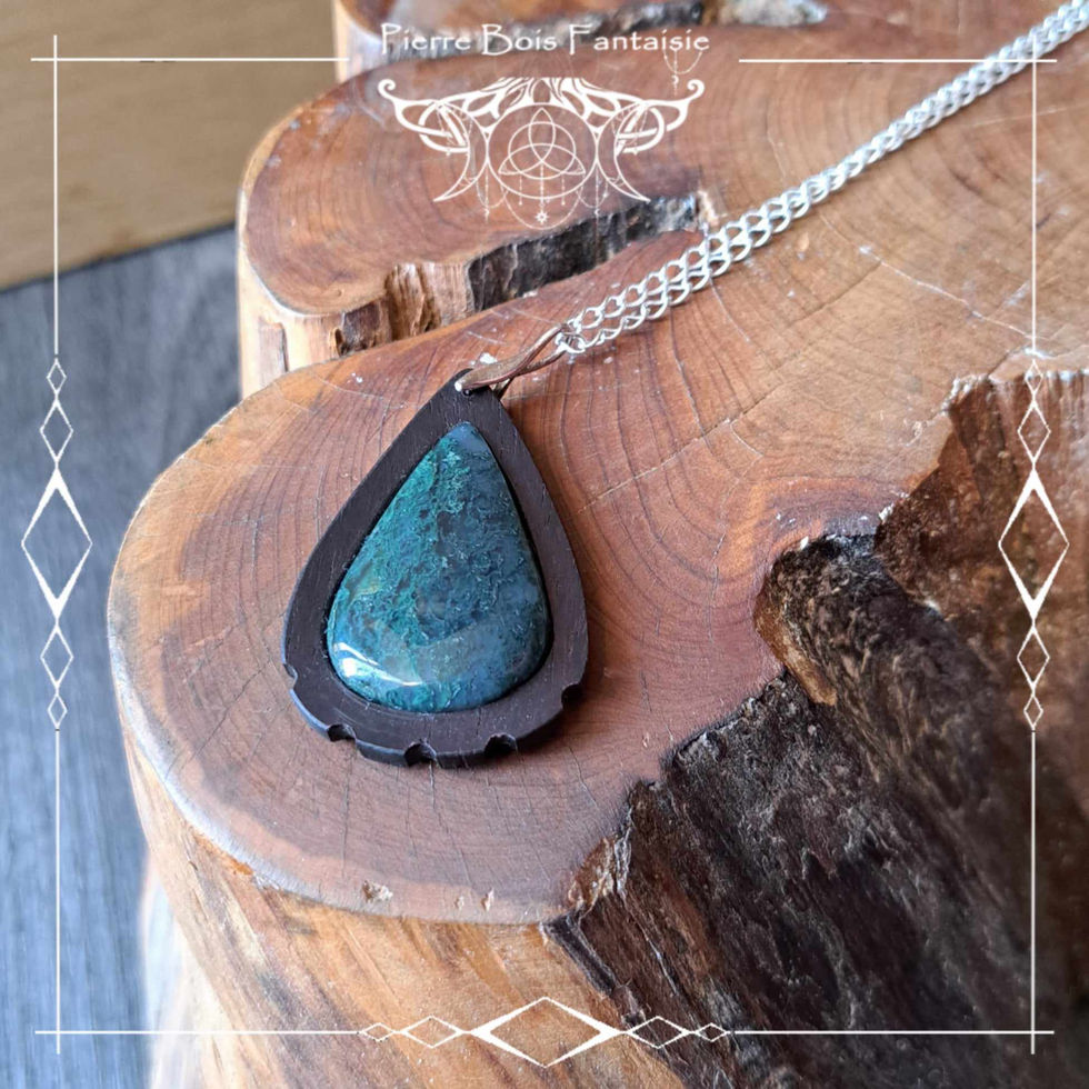 356816938_295685106177465_7604090333614290654_n