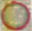 Ouroboros