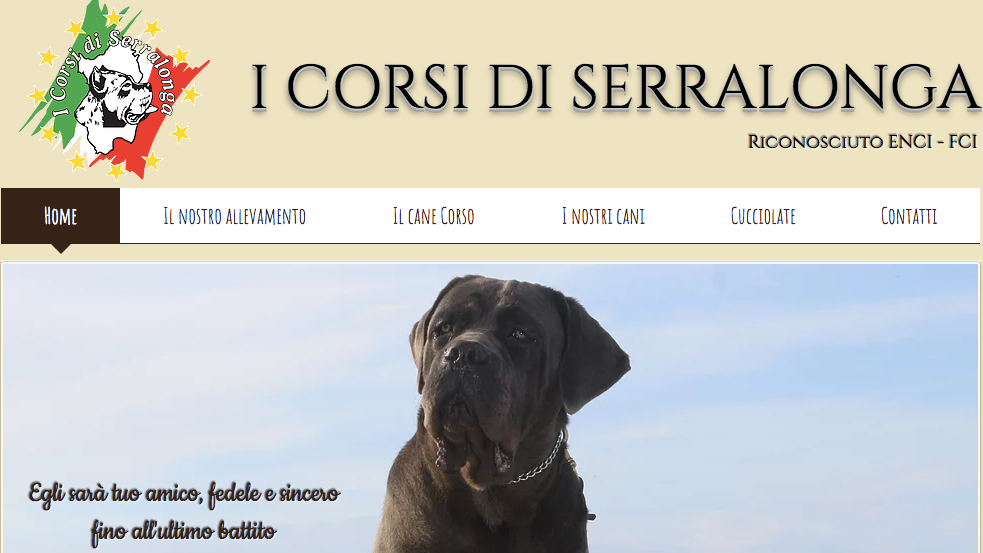 Serralonga Boss