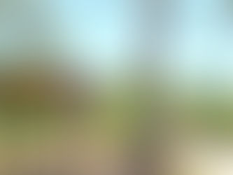 Wujal Wujal Aboriginal Shire Council