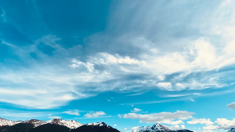 Temperate South America (TS)