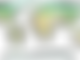 Biomes