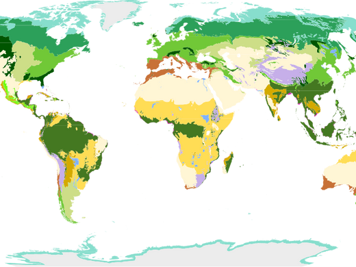 Biomes