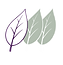 Shanti_Plants_Beginner_Icon_Full Colour_Transparent_v1_22072026.png