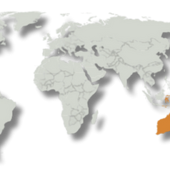 Australasia (AA) realm