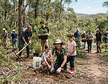 stewardship-image-shanti-plants.png