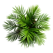 22.png