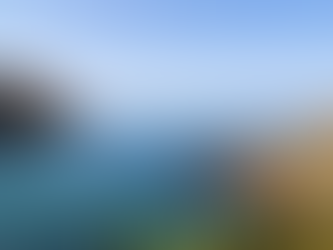 Temperate Northern Atlantic (TN)