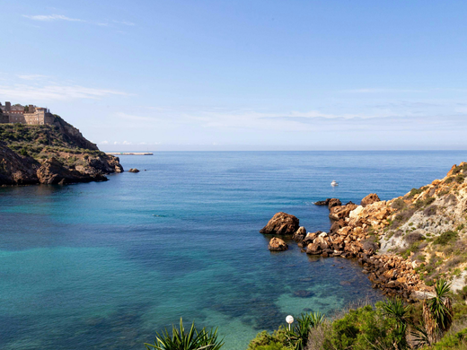 Temperate Northern Atlantic (TN)