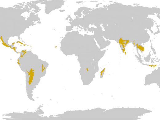 Tropical and Subtropical Dry Broadleaf Forests (TSD)