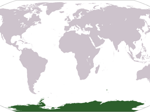 Antarctic (AN)