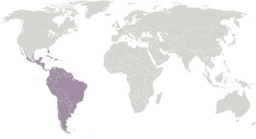Neotropical (NT)