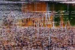 Suus Photo Art: Colour_17