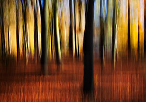 Suus Photo Art Reflections