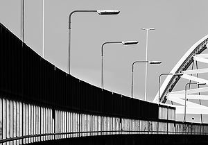 Suus Photo Art Behind Trees