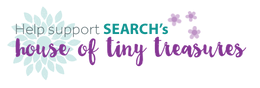search-header-htt.png