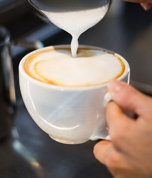 Wander 'n' Calf | Coffee shop & Bakery