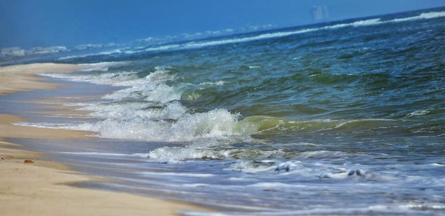 121441954_3697707910248672_2644869469521782070_n_edited_edited_edited.jpg
