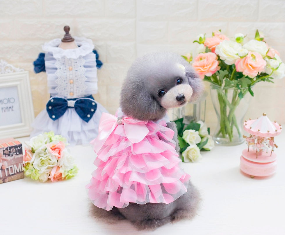 Miniatura: Vestido sin mangas redondo Masajeadores de cuello Impresión de verano princesa r