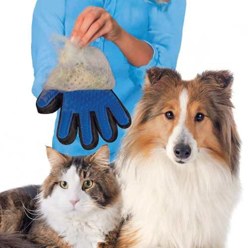 Miniatura: Guante Cepillo Mascotas Tipo True Touch Perro Gato