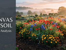 Misty sunrise garden of red, blue, and yellow flowers; left panel reads Canvas of Soil Poem Analysis