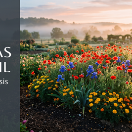 Misty sunrise garden of red, blue, and yellow flowers; left panel reads Canvas of Soil Poem Analysis
