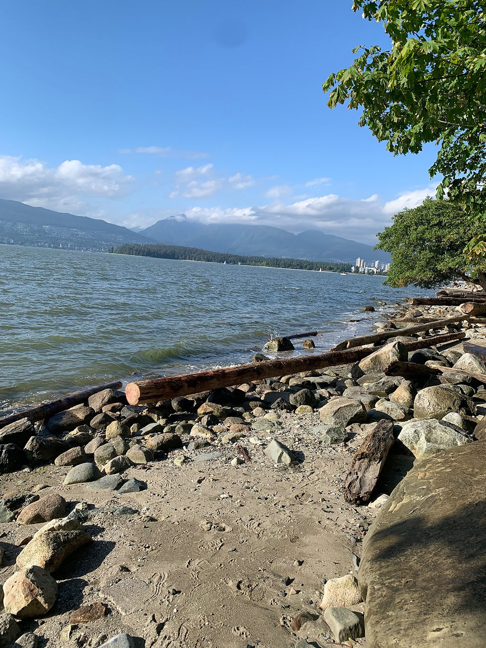 Taking a step towards sustainability