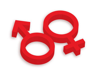 In the Company of women