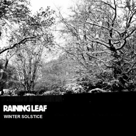 RAINING LEAF - WINTER SOLSTICE (DOM013)
