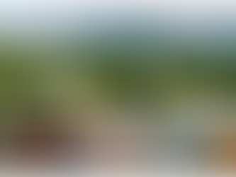 The Inaugural Manchester Food & Wine Festival!