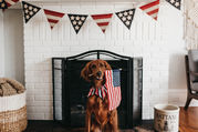 Red, White, and Mood Swings