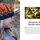 Thumbnail: Knitting California