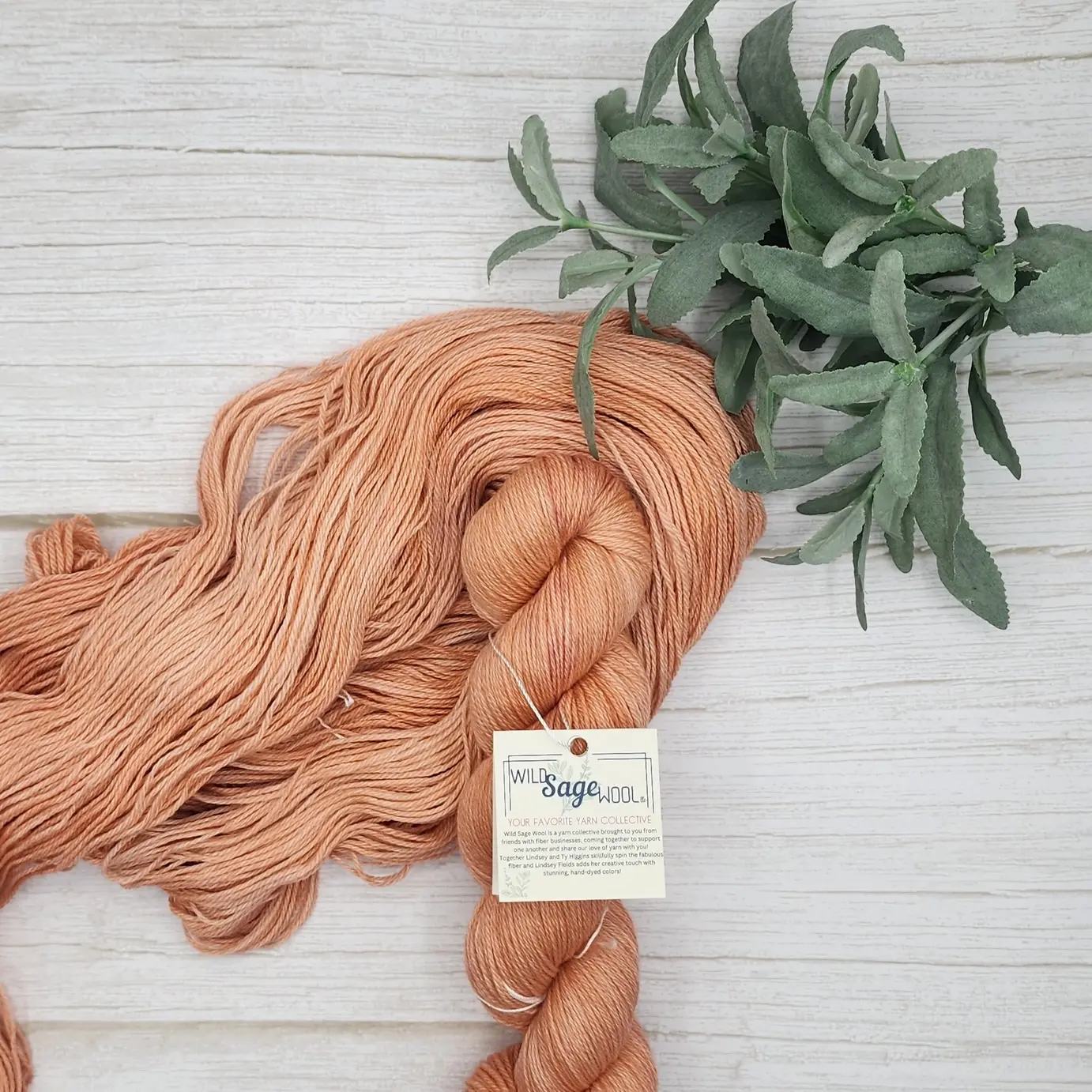 Wild Sage Wool: Fading Coral - Fingering Weight