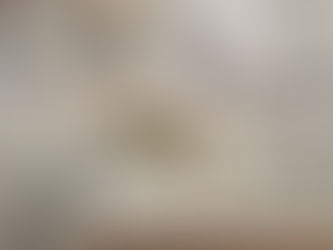 Eloise, Fig Leaf and Butterfly print by Shelly Gerritsma