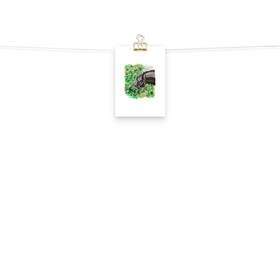 Thumbnail: Fresh Apples Giclee Print by Shelly Gerritsma